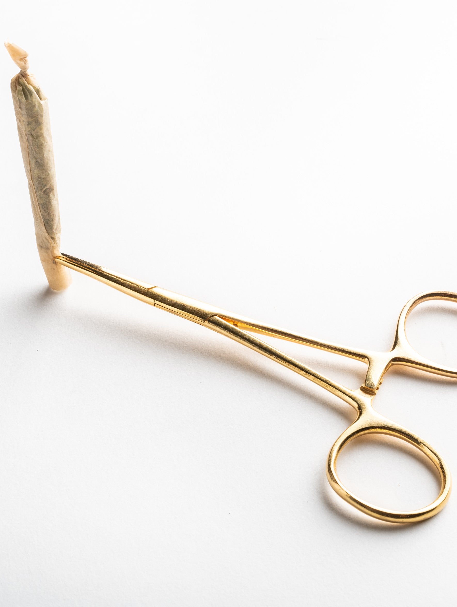 It's a Rogue World Feat. How To Roll a Joint 12.9.24