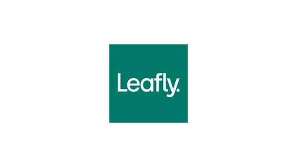 Leafly holiday gift guide 2022: Weed gifts for everyone