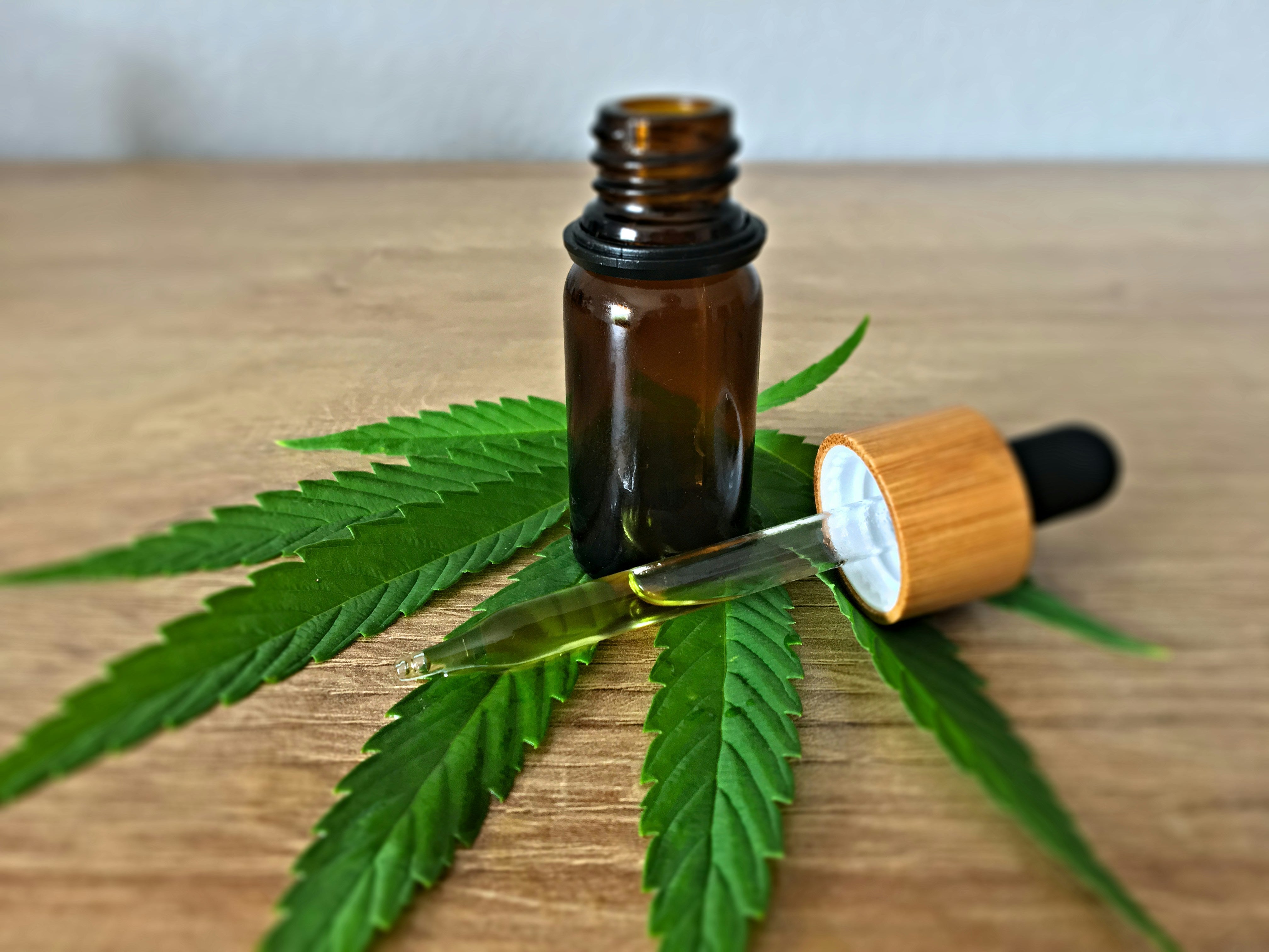 Canna Conversations: Lisa Watts, Senior Cannabis Content Writer on The Best CBD Directories