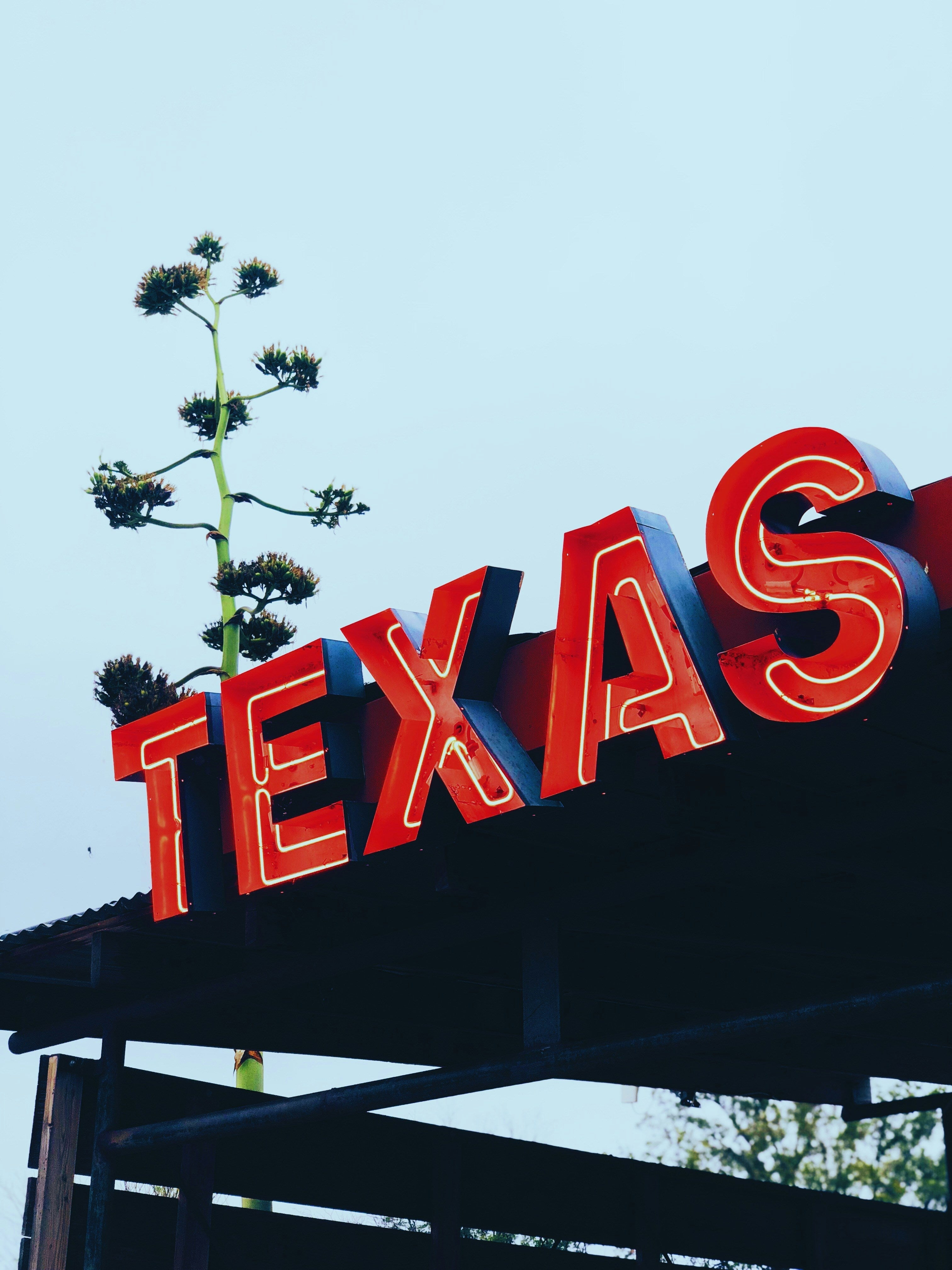 Navigating the Shift: What You Need to Know About the Latest Texas and Federal Cannabis Laws