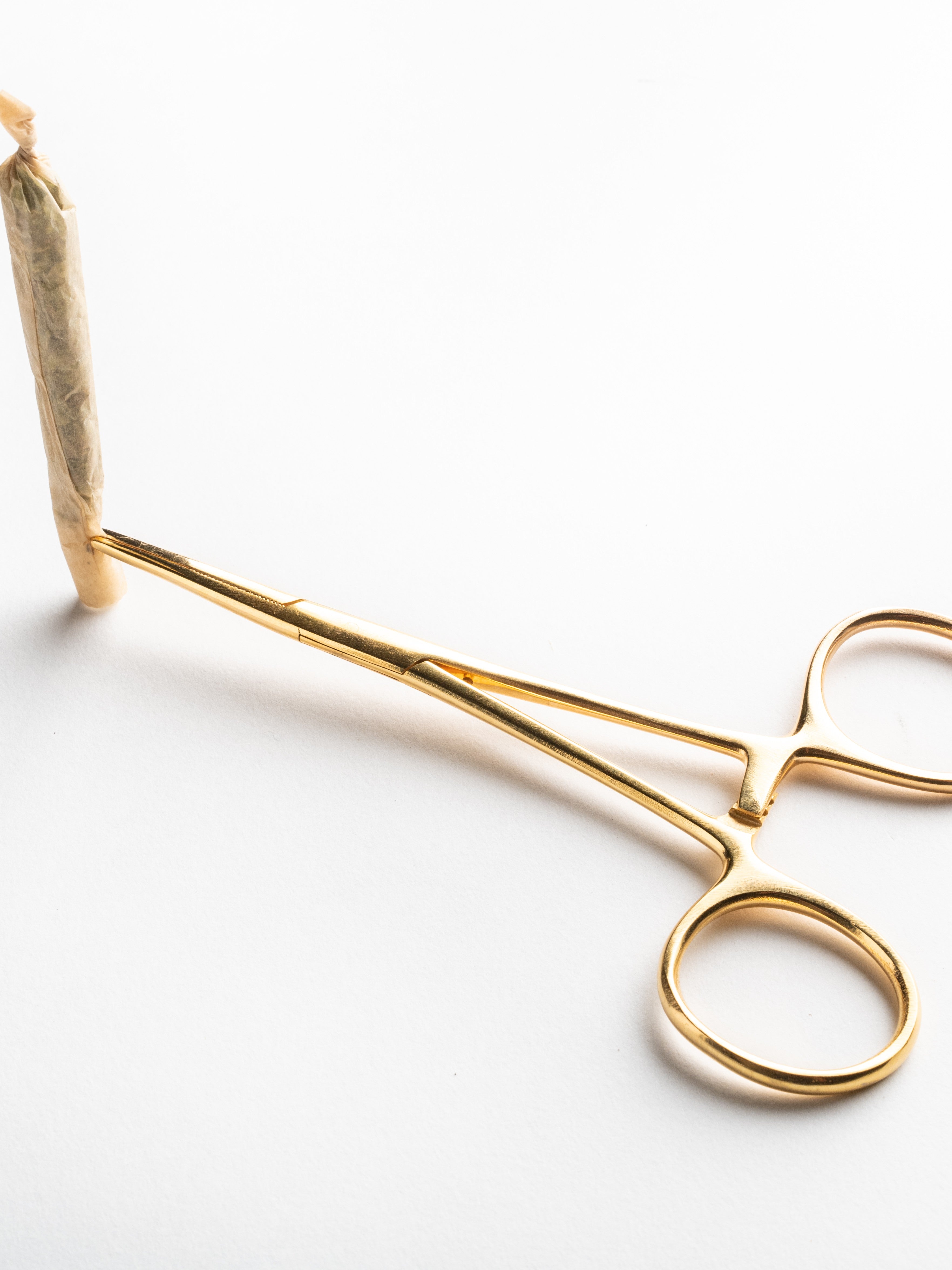 Rogue Paq Hemostat Joint Clip & Poker Tool