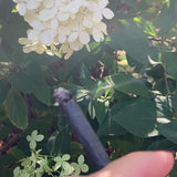 Rogue Paq Pre-Rolled Hemp Paper Cones Pack of 9