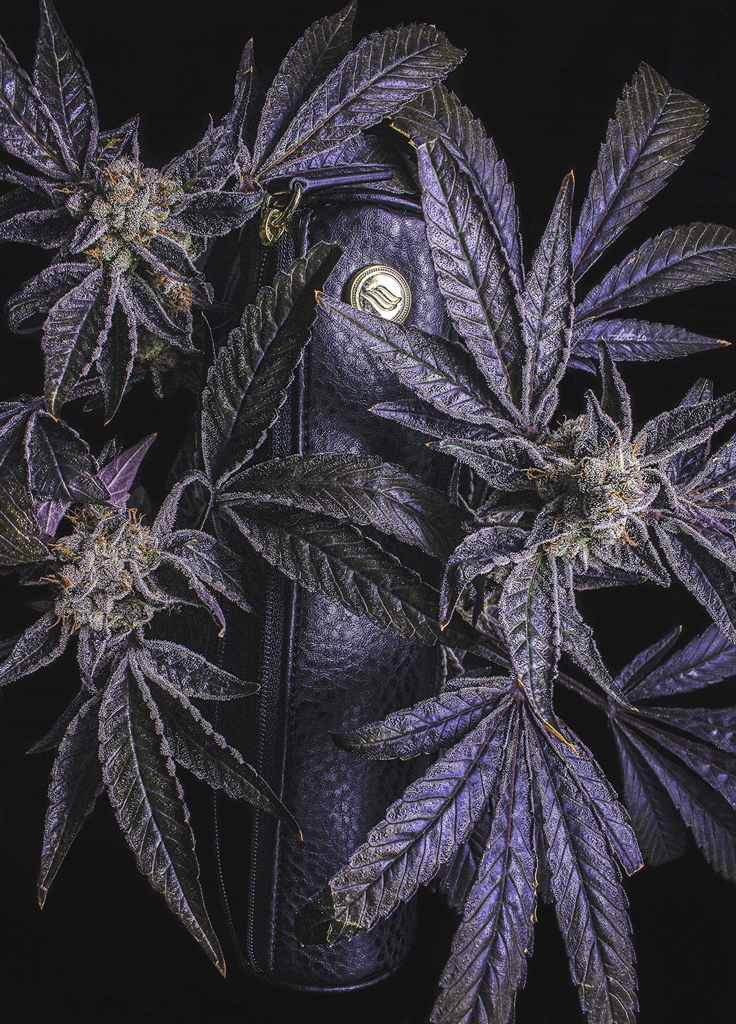 Cannabis Ritual Case in Vegan Leather